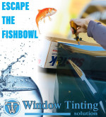 Window Tinting