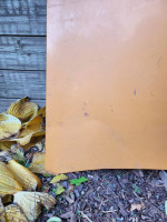 Datsun 510 Hood and Front Fender