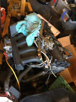 BMW ENGINES + Differential
