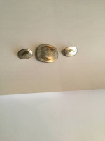 Pisces Zodiac Earrings & Pin