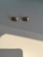 Pisces Zodiac Earrings & Pin