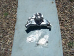 Brand New Polished High Flow Big Block Chevy Aluminum Water Pump