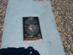 Brand New Big Block Chevy Gear Drive Timing Set