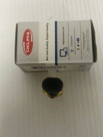NEW Delphi TS10075 Coolant Temperature Sensor