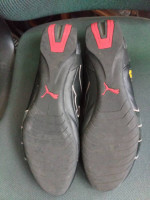 Ferrari Puma Shoes