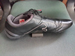 Ferrari Puma Shoes