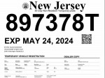 2 TEMP PLATES FOR $300