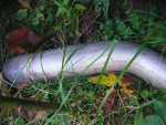 Later model Silverado Exhaust System