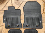 Floor Mats All Weather