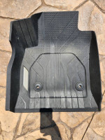 Floor Liners