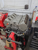 6.2 LS