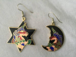 Pierced earrings