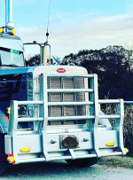 Peterbilt bison bumper