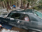 **Wanted**73 Ventura,GTO,nova hatch parts car
