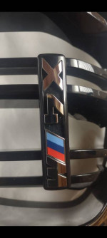 BMW Grill Inserts