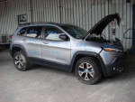 2014 Jeep Cherokee Engine