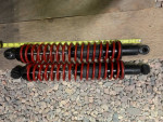 Rear shocks