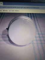 Peterson Dome Light with Switch