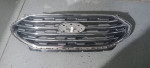 Ford edge grill