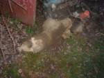 ford 300 motor  3 speed  engine transmission