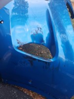 Ford escape front bumper cover oem