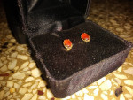 14k Gold Ruby earrings