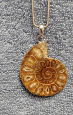 Chambered Ammonite Necklace