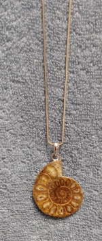 Chambered Ammonite Necklace