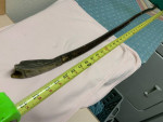 Hickory hiking staff