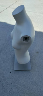 Female Mannequin Torso