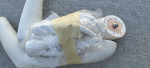 Female Mannequin Torso