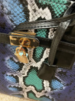 Brand New Aligaror Skin Handbag
