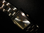 Stainless Steel Armitron Diamond Quartz-cleaned & serviced $ or trade