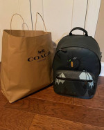 NWT Disney x Coach West Backpack With Maleficent Dragon Motif - Sleepi