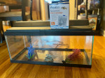 Aquarium
