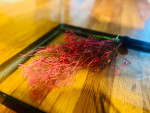 Aquarium