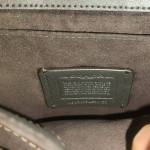 Coach Cassidy Chain XBody Bag Metallic Gold New