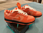 SB Dunk-Orange Lobsters