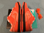 SB Dunk-Orange Lobsters