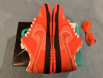 SB Dunk-Orange Lobsters