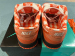 SB Dunk-Orange Lobsters