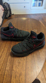 LeBron James low tops size 12