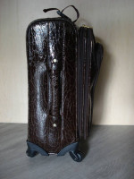 New Designer Adrienne Vittadini Carry On Luggage