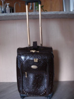 New Designer Adrienne Vittadini Carry On Luggage