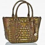 BRAHMIN Small Ashlee Pesto Melbourne Genuine Leather Purse