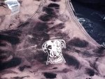 Lagunitas Brewing IPA Tye Dye Rare Promo XL Tank Top Shirt