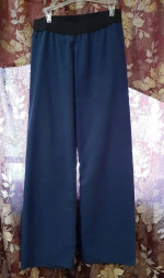 Dickies Black Label Navy Blue Medical Scrub Set Scrub Top and Pants