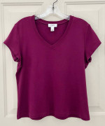 Ann Taylor Loft (M) Tee Top