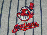 YOUTH MLB Genuine Merchandise Cleveland Indians SEWN Jersey L 14/16
