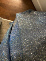 PLUS SIZE SPARKLY GLITTERY GOWN